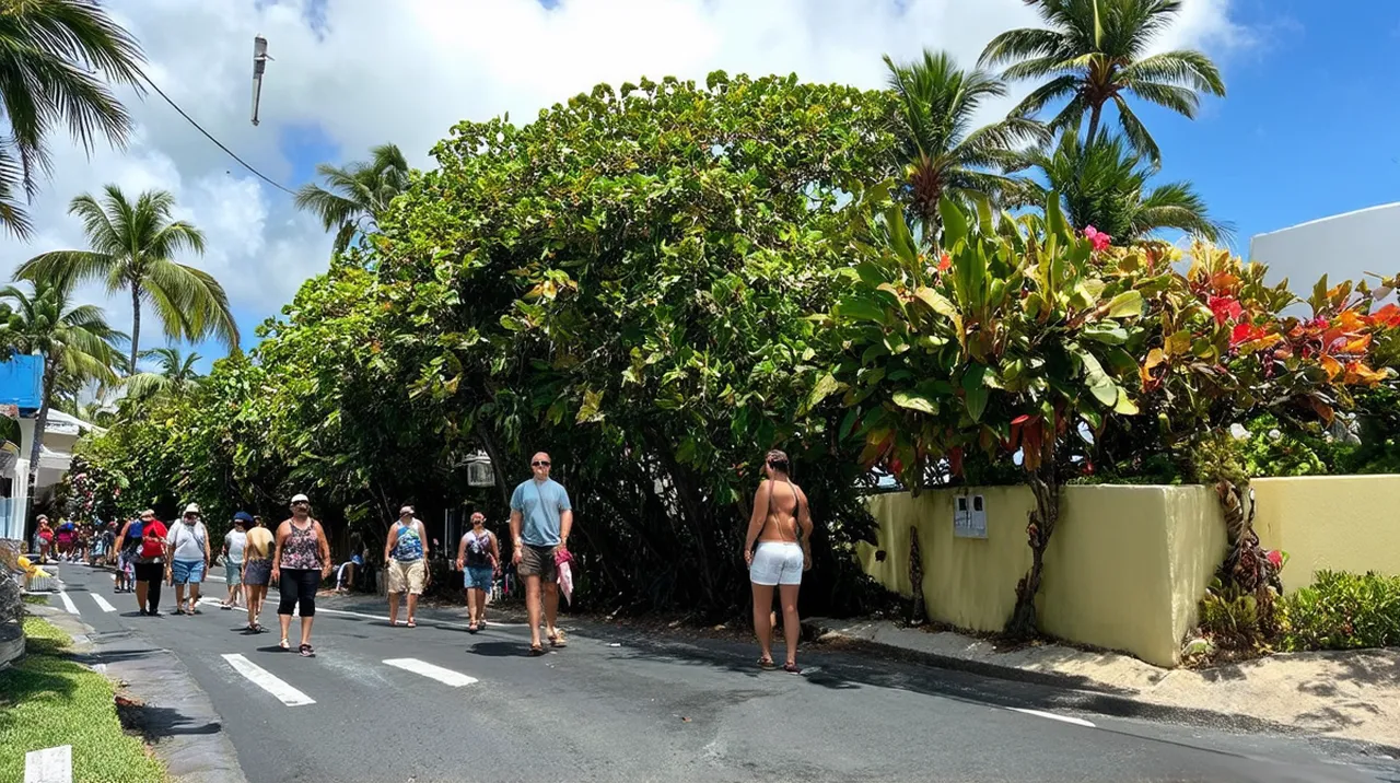 Free Walking Tours Kailua: Explore Local Treasures