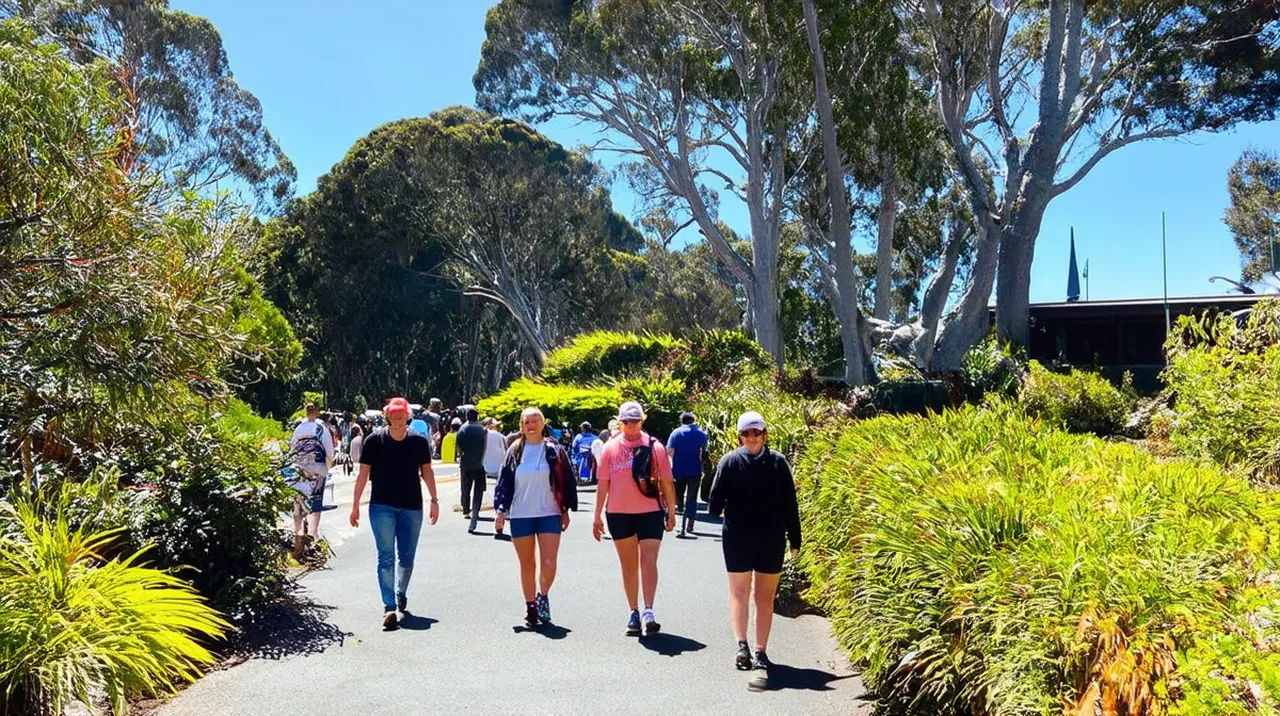 Free Walking Tours Rotorua: Discover Nature’s Wonderland