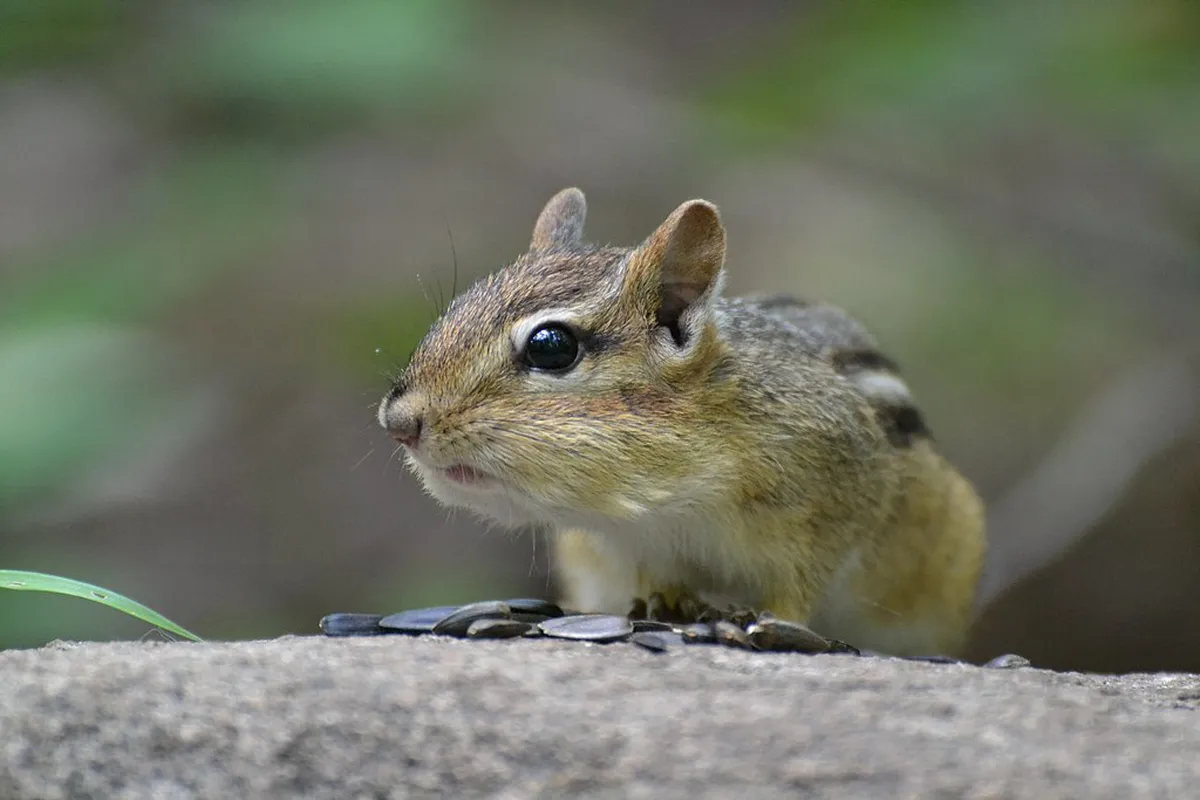 How to Tip A Coruna Guides: A Practical Local Guide