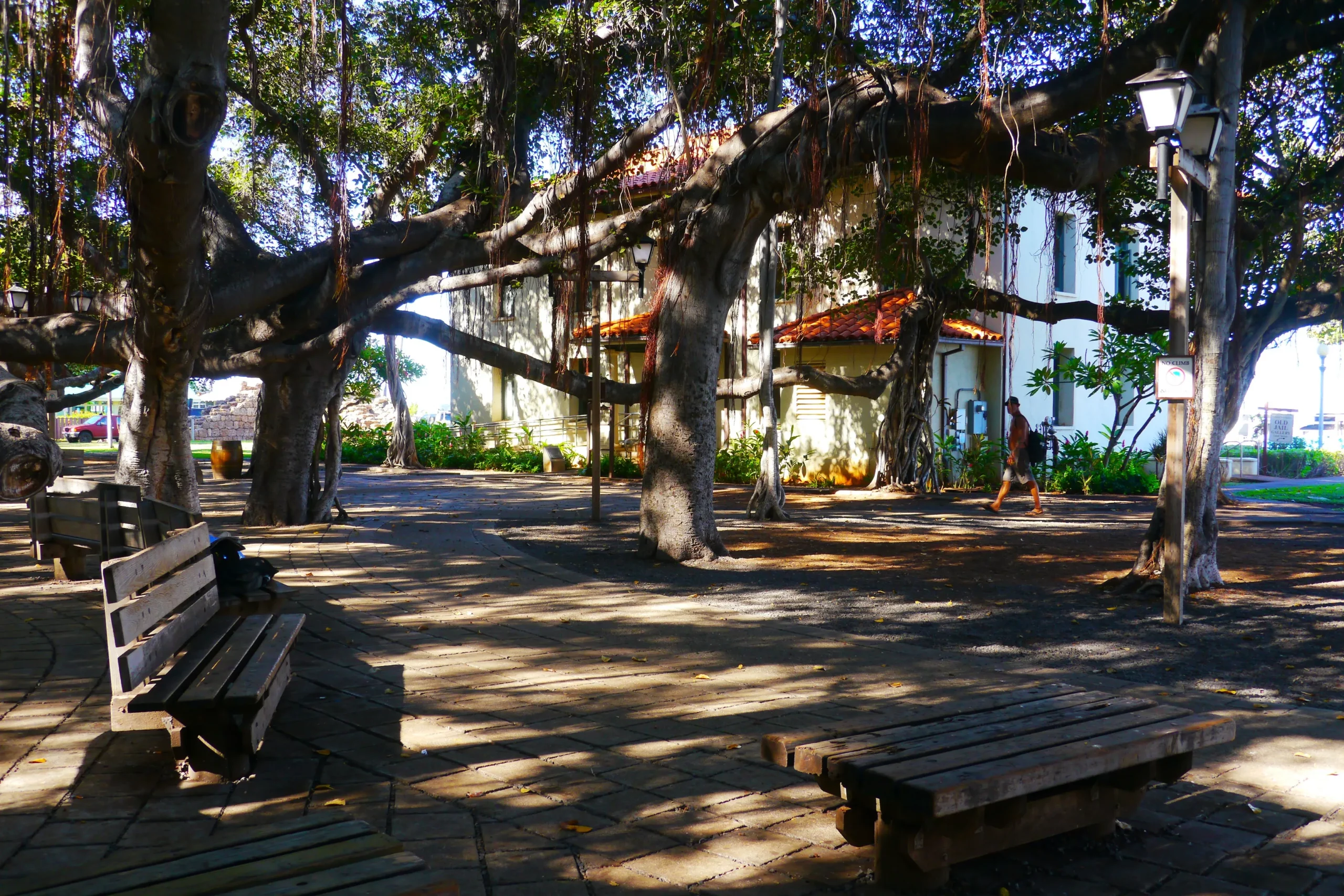 5. Visit the Iconic Ship Creek and its Wildlife