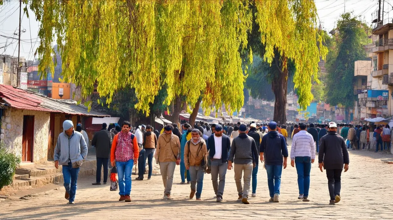 Free Historical Walking Tours Srinagar