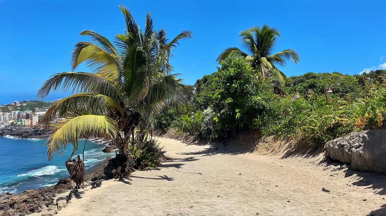 Free Walking Tour Itinerary Rincón