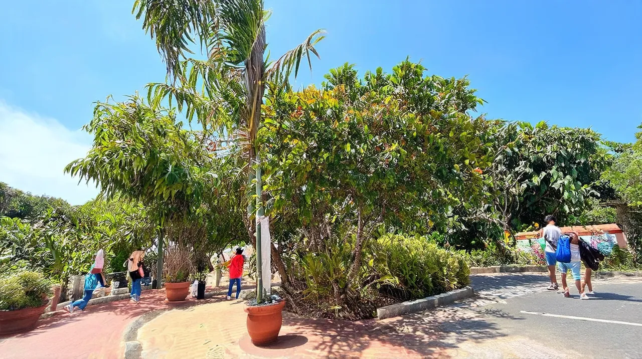 Free Walking Tours Dili
